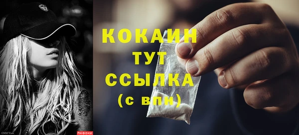 прущие грибы Аркадак