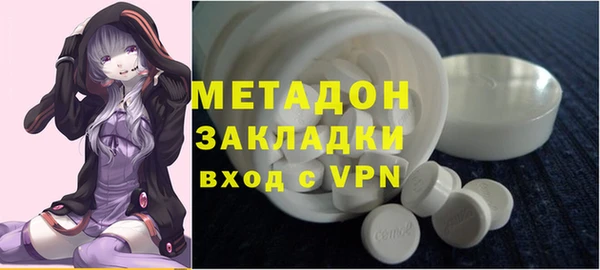 прущие грибы Аркадак